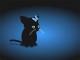 Free Kitten and Butterfly ScreenSaver 1.1
