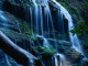 Free Living Waterfall Screensaver 1.0