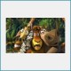 Free Madagascar Screensaver 1.0