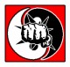 FREE Martial Arts Ebook Tae Su Jutsu System Interm 1.0