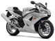 Free Motorcycle Race Screensaver 1.0