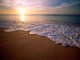 Free Wild Beaches Screensaver 1.0