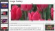 Gallery by Raj 1.2