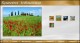 Gallery by SpectraInfo 2.0