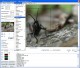 GdPicture Light Image Processing ActiveX 2.9.5 GdPicture Light Image Processing ActiveX 2.9.5