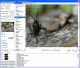 GdPicture Pro Imaging OCX - Site License 4.5.5