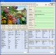GOGO Exif Image Viewer Pro ActiveX OCX 1.0