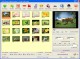 GOGO Photo To Movie Converter 1.0