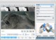 Goodlife DVD to iPod Ripper 4.3.00