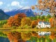 Gorgeous Fall Foliage 3D Screensaver 1.0