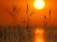 Gorgeous Sunsets 1.00 Gorgeous Sunsets 1.00