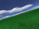 Green Fields 3D Screensaver 1.2