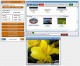 GVC Graphic Video Compiler 1.00