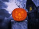 Halloween Pumpkin 3D Screensaver 1.02