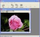 Hider 1.1