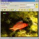 HS VideoCapture 1.0
