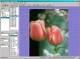 Image Scripts 1.76 Image Scripts 1.76