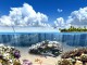 Living Dolphins 3D Screensaver 1.01
