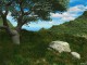 Living Landscape screensaver 1.1