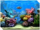 Living Marine Aquarium 2.0