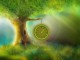 Magic Tree Clock ScreenSaver 2.3