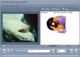Material Video Converter 1.2.67 Screenshot
