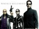 Matrix Reloaded Screensaver 1.6 Matrix Reloaded Screensaver 1.6