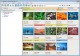 MediaDex Standard (Win) 2.0