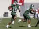 Michigan State Spartans Screensaver 1.00