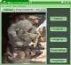 Military Level Encryption 1.0