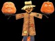 Monstrous Pumpkins Animated Screensaver 2.0 Monstrous Pumpkins Animated Screensaver 2.0