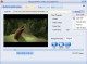 Moyea SWF to Video Converter Pro 1.20