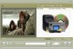Myspace Video Editor 1.4.30