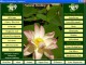 NaturalHealing 5.3