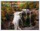 Nature in Motion - The Sampler 1.1