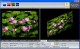 NuGenImageWorks 1.5.12.06
