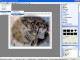 Oriens JPEG Professional 1.3 Oriens JPEG Professional 1.3