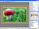 Oriens JPEG2000 Basic 1.3.0.167