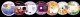 Package of 7 Homeopathic Softwares Best Xmas