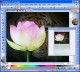 PaintBuster 12.1