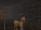 Parhedros: The Tunnels of Sethir 1.0.0 Parhedros: The Tunnels of Sethir 1.0.0
