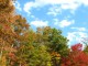Perfect Autumn Screensaver 1