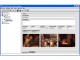 Personal Inventory Manager 1.0