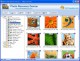 Photo Recovery Genius 1.3 Photo Recovery Genius 1.3