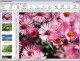 PhotoRite Deluxe - Windows photo editor (autofix) 2.0.0e