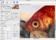 PhotoZoom Pro 2 for Mac 2.2.8