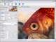PhotoZoom Pro 2 2.2.8