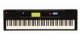Piano Chords and Music 1.0