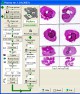 PixArea 1.03