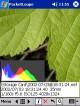 PocketLoupe 1.70 PocketLoupe 1.70